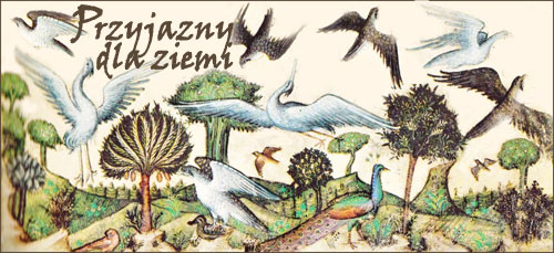 Przyjazny dla ziemi: Stworzenie ptaków przez artystę Belbello da Pavia (włoski, 1430-1473)